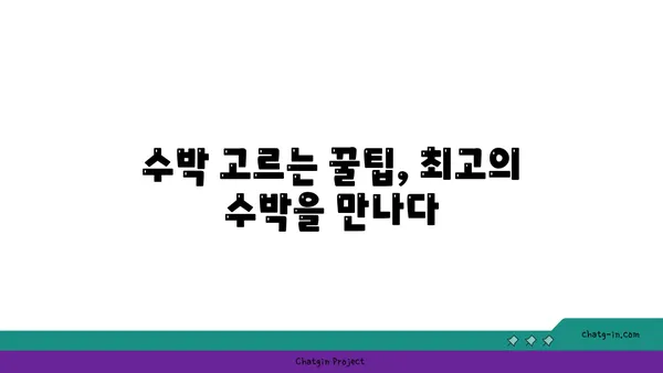 시원한 여름, 수박으로 더위를 날려보세요! | 수박 효능, 수박 고르는법, 수박 레시피