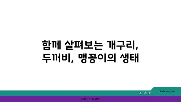 개구리, 두꺼비, 맹꽁이| 어떻게 구분할까요? | 개구리 종류, 특징 비교, 차이점