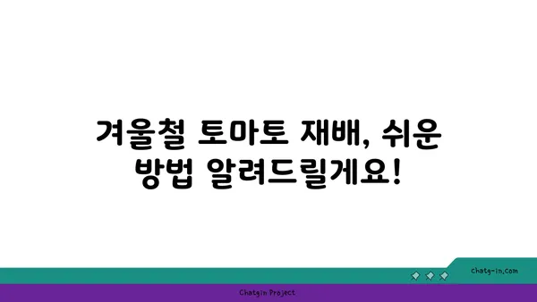 겨울철에도 맛있는 토마토를? 꿀팁 가득한 토마토 재배 가이드 | 겨울 토마토, 재배 방법, 팁, 노하우