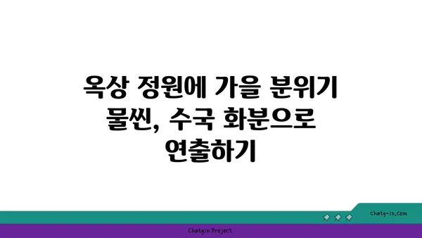 옥상 정원 가을 분위기 연출| 수국 화분 심기 완벽 가이드 | 옥상 정원, 가을, 수국, 화분, 심기, 가이드