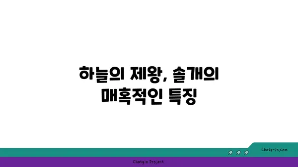 솔개의 비상| 하늘을 훨훨 날아오르는 멋진 새의 생태 | 맹금류, 솔개 특징, 서식지, 먹이, 번식