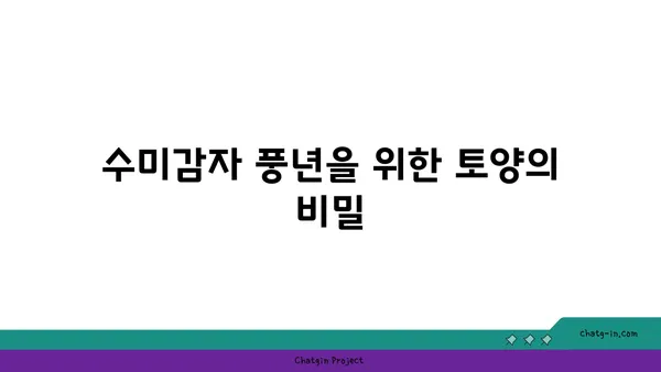 수미감자 최고의 수확을 위한 토양 조건 완벽 가이드 | 수미감자 재배, 토양 관리, 영양 공급