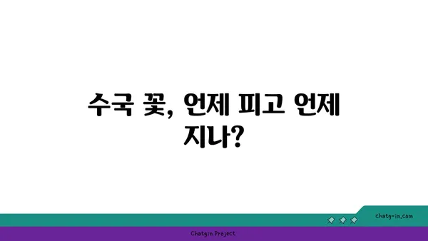 끊임없이 피는 수국, 비밀은 바로 이것! | 수국 키우기, 수국 관리, 수국 꽃피는 시기