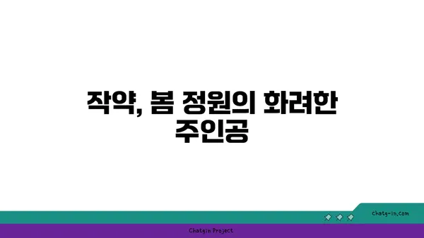 작약의 매력에 빠지다| 품종별 특징과 재배 가이드 | 작약 꽃, 작약 품종, 작약 키우기, 작약 관리