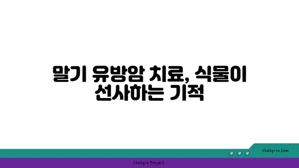 말기 유방암 치료를 위한 식물의 항암 효능| 희망을 찾는 여정 | 천연 항암제, 식물 추출물, 유방암 치료