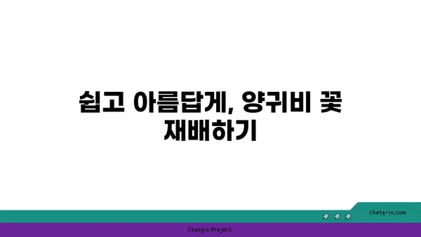 양귀비 꽃의 매혹적인 아름다움과 그 의미 | 꽃말, 전설, 재배 정보