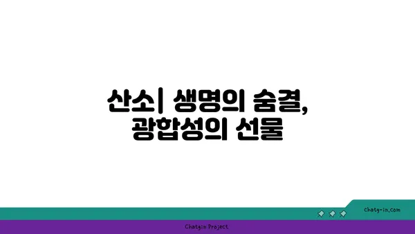 광합성의 비밀| 빛 에너지를 생명 에너지로 바꾸는 놀라운 과정 | 식물, 엽록소, 탄수화물, 산소