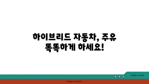 하이브리드 자동차 주유 꿀팁| 연비 최적화를 위한 완벽 가이드 | 하이브리드, 연비, 주유, 팁