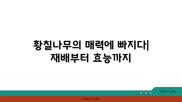 황칠나무의 모든 것| 재배부터 효능까지 | 황칠나무, 황칠, 약용식물, 천연염료, 황칠나무 효능, 재배 방법, 황칠나무 기르기