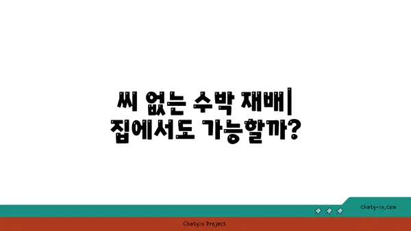 씨 없는 수박, 어떻게 만들까? | 씨 없는 수박 재배 방법, 씨 없는 수박의 비밀, 씨 없는 수박 품종