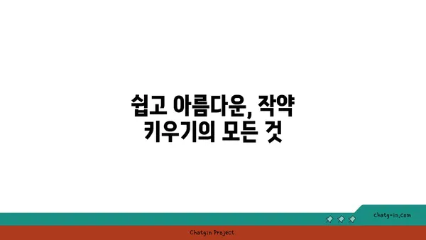 작약의 매력에 빠지다| 품종별 특징과 재배 가이드 | 작약 꽃, 작약 품종, 작약 키우기, 작약 관리