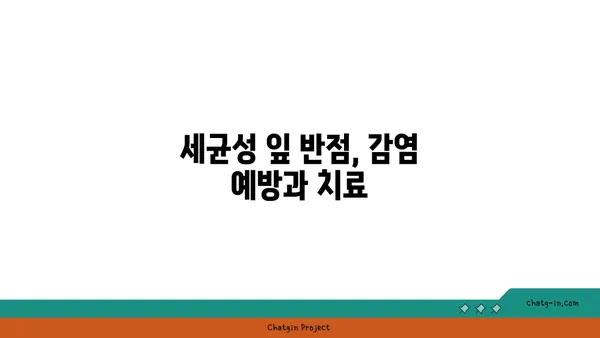 잎에 반점이 생기는 병, 종류별 원인과 해결 방법 | 식물 질병, 병해충, 치료