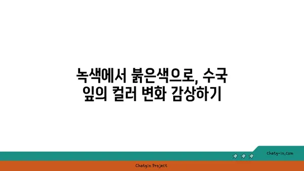 수국 잎의 가을 변신| 아름다운 색깔 변화 감상하기 | 가을, 단풍, 수국 잎, 컬러 변화, 관찰 팁