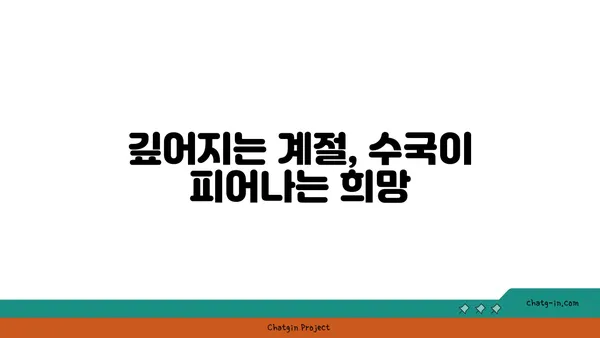 수국의 꽃말| 가을의 의미 |  변치 않는 사랑, 깊어지는 감정, 희망