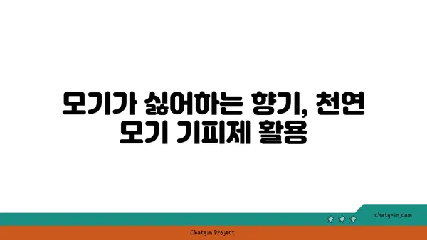 몸에 해롭지 않은 모기 퇴치법, 천연 & 안전하게 모기 쫓는 7가지 방법 | 모기 퇴치, 천연 모기 기피제, 안전한 모기 퇴치법