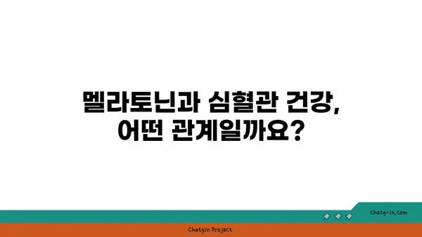 멜라토닌과 심장 건강| 심혈관계 질환 위험 감소 가능성 | 멜라토닌 효능, 심장 건강, 심혈관 질환, 건강 정보