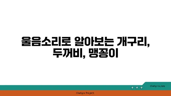 개구리, 두꺼비, 맹꽁이| 어떻게 구분할까요? | 개구리 종류, 특징 비교, 차이점