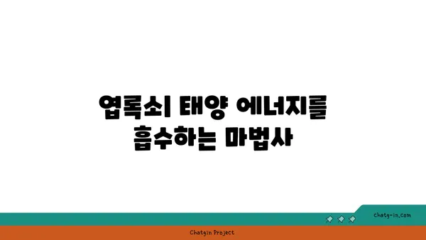 광합성의 비밀| 빛 에너지를 생명 에너지로 바꾸는 놀라운 과정 | 식물, 엽록소, 탄수화물, 산소