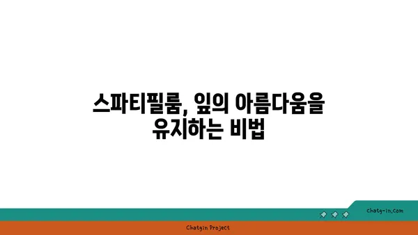 스파티필룸 키우기 완벽 가이드| 잎, 물주기, 번식, 병해충 관리 | 식물 키우기, 공기 정화 식물, 실내 식물