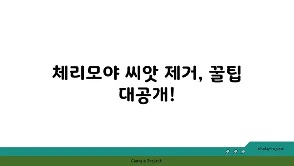 체리모야 맛있게 먹는 방법| 씨앗 제거부터 보관까지 | 체리모야 요리, 체리모야 효능, 체리모야 레시피