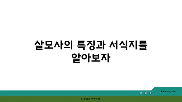 살모사, 알아야 할 모든 것|  특징, 서식지, 독성, 응급처치 | 뱀, 독사, 야생동물, 안전