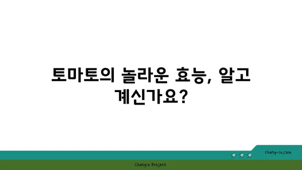 토마토| 건강과 미용에 좋은 붉은 보석의 놀라운 효능 | 토마토 효능, 건강, 미용, 레시피, 팁