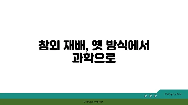 참외, 옛 이야기에서 현대적 즐거움까지 | 역사 속 참외 이야기 | 참외, 역사, 유래, 재배, 품종, 효능, 즐기는 방법