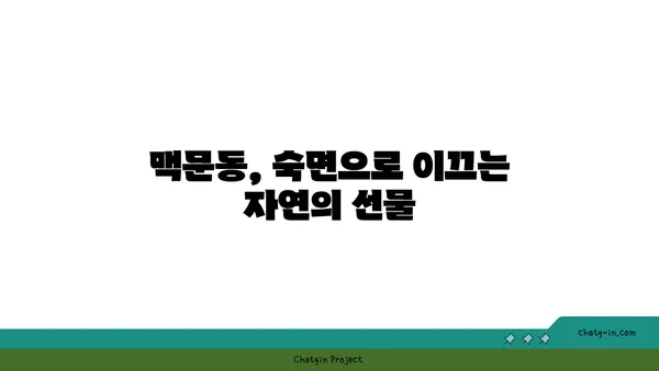 맥문동, 잠 못 이루는 밤에 안녕을 위한 나만의 처방 | 수면 개선, 불면증 완화, 맥문동 효능