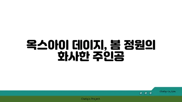 옥스아이 데이지로 봄맞이 정원 만들기| 화사한 봄 분위기 연출 가이드 | 봄 정원, 옥스아이 데이지, 꽃 심기, 정원 디자인