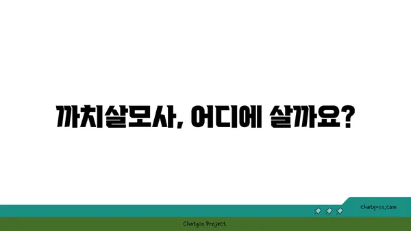 까치살모사, 알아야 할 모든 것 | 까치살모사 정보, 서식지, 특징, 구별법, 응급처치