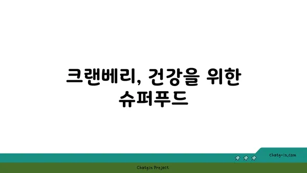 크랜베리의 놀라운 효능 7가지 | 건강, 슈퍼푸드, 항산화, 면역력, 혈액순환