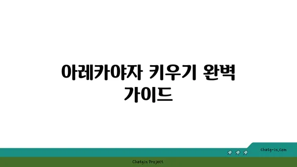 아레카야자 키우기 완벽 가이드 | 실내 인테리어 식물, 공기정화, 관리법, 번식