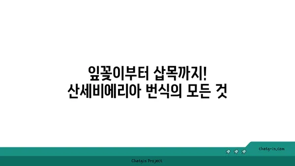 산세비에리아 키우기 완벽 가이드| 종류별 관리법부터 번식까지 | 공기정화식물, 다육식물, 실내식물