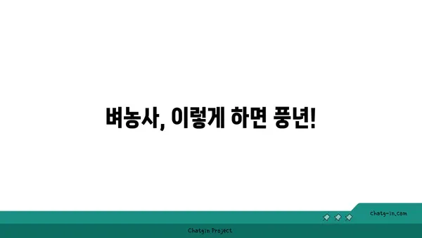 벼농사 성공의 지름길| 품종부터 수확까지 완벽 가이드 | 벼 재배, 벼 품종, 벼농사 기술, 쌀 농사