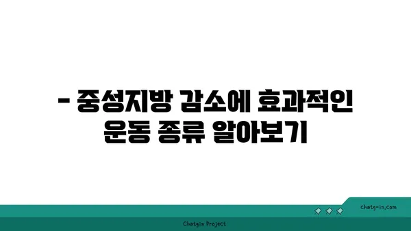 중성지방 감소 운동, 어떤 종류가 효과적일까요? | 중성지방 낮추는 운동, 운동 루틴, 건강 관리