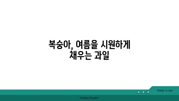 복숭아의 부드러운 매력| 풍부한 섬유소, 비타민, 미네랄 속에 담긴 건강 효능 | 과일, 영양, 건강, 맛