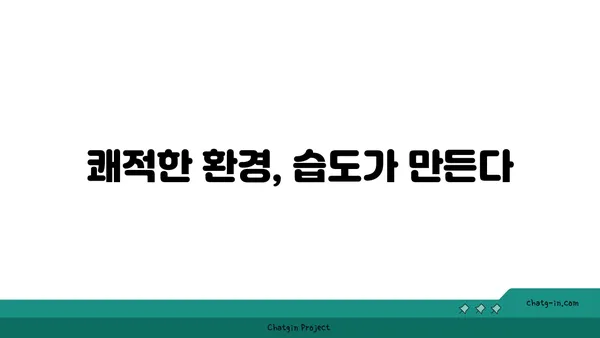 쾌적함을 위한 습도 공식| 최적의 상대습도 찾는 방법 | 실내 습도 조절, 쾌적한 환경, 습도와 건강