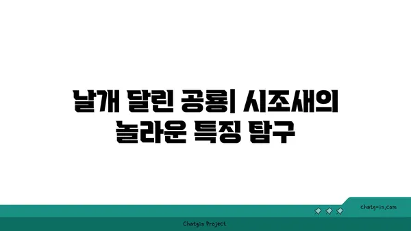 시조새| 진화의 증거, 공룡과 조류의 연결고리 | 공룡, 조류, 진화, 화석, 고생물학