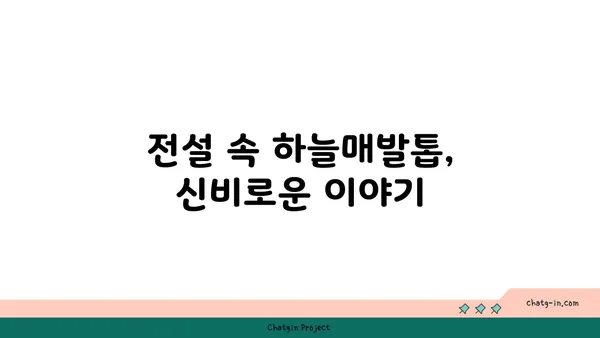 하늘매발톱의 매력적인 세계| 꽃말, 재배법, 그리고 전설 | 야생화, 식물, 정원, 꽃