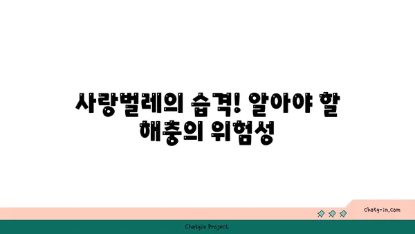 사랑벌레의 위험성, 알고 계신가요? | 사랑벌레, 해충, 건강, 예방, 주의