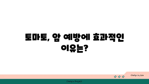 토마토의 놀라운 암 예방 효과| 연구 결과와 전문가 의견 | 토마토, 암 예방, 건강 식품, 항산화 효과