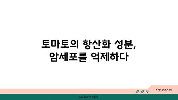 토마토의 놀라운 암 예방 효과| 연구 결과와 전문가 의견 | 토마토, 암 예방, 건강 식품, 항산화 효과