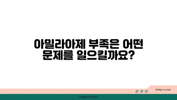 아밀라아제의 역할과 기능| 소화 과정에서의 중요성 | 소화 효소, 탄수화물 분해, 건강 팁