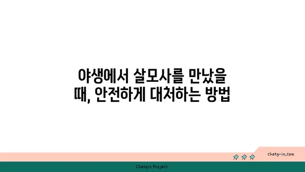 살모사, 알아야 할 모든 것|  특징, 서식지, 독성, 응급처치 | 뱀, 독사, 야생동물, 안전