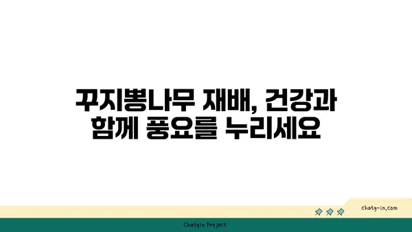 꾸지뽕나무 효능과 활용법 총정리| 꾸지뽕 열매, 잎, 뿌리의 놀라운 효능 | 꾸지뽕나무 효능, 꾸지뽕 차, 꾸지뽕 효소, 꾸지뽕 재배