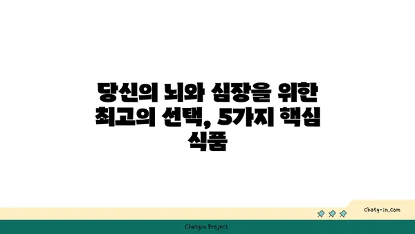 뇌와 심장 건강을 위한 5가지 핵심 식품| 노화 방지 & 인지 향상 | 건강 식단, 뇌 건강, 심장 건강, 노화 방지, 인지 기능 향상