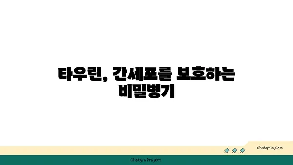 타우린, 간 건강 지킴이? 간 손상 예방 효과 알아보기 | 타우린, 간 기능, 건강 정보