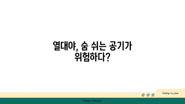 열대야 속 숨 막히는 공기, 휘발성 유기 화합물의 위험 | 대기오염, 건강, VOCs