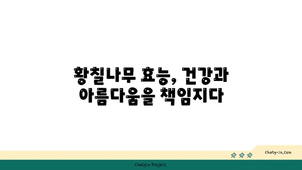 황칠나무의 모든 것| 재배부터 효능까지 | 황칠나무, 황칠, 약용식물, 천연염료, 황칠나무 효능, 재배 방법, 황칠나무 기르기