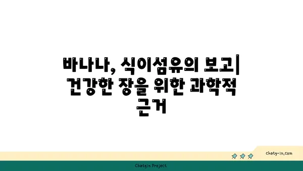 바나나, 식이섬유질 풍부한 이유| 건강한 장을 위한 과학적 근거 | 바나나 효능, 식이섬유, 소화 건강